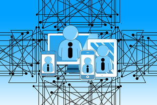 ac米兰官方网站-中国青少年篮球发展政策实施与推广策略，青少年篮球发展现状及对策研究