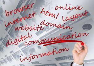 米兰体育网页版登陆-校园体育赛事品牌建设路径与传播策略研究，校园体育竞赛体系